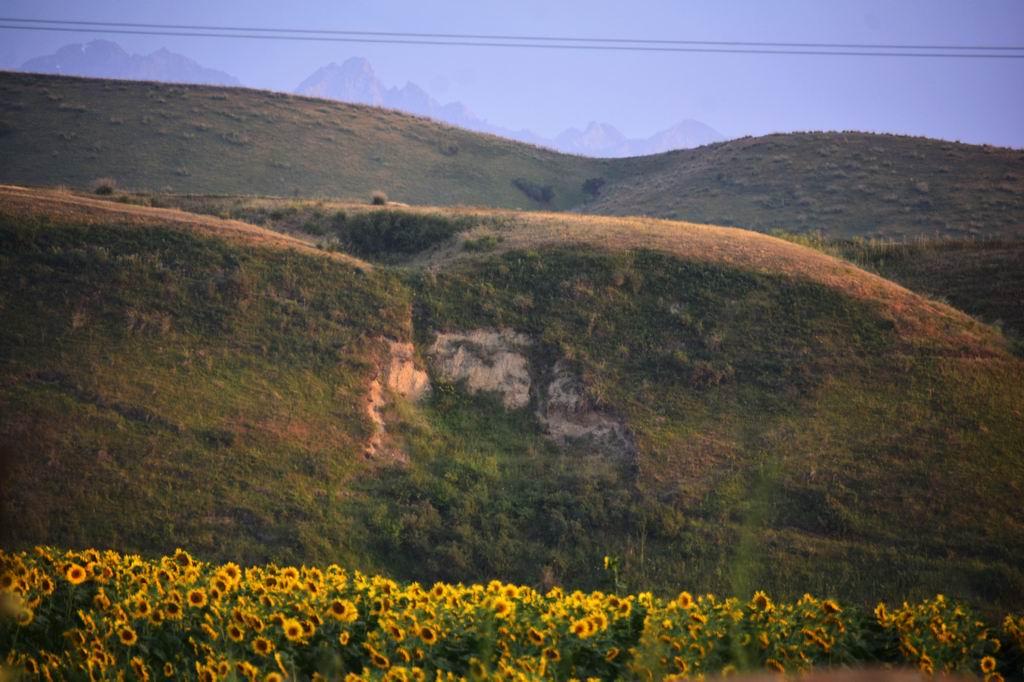 _DSC1861b.jpg