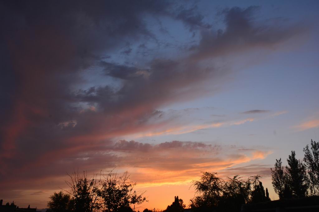 _DSC1877b.jpg