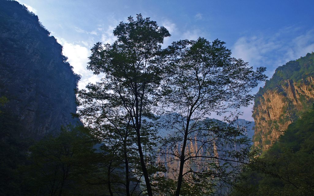 _A100590.JPG