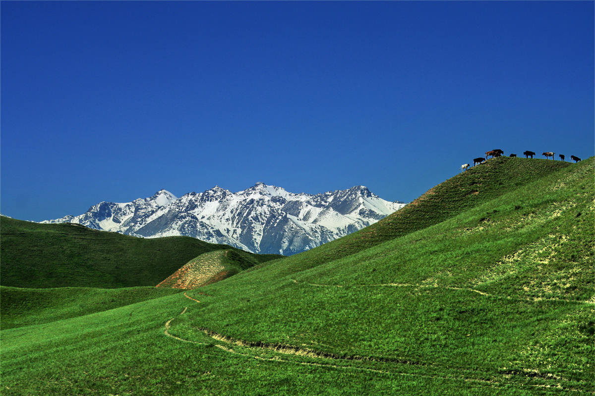 IMG_0891.jpg