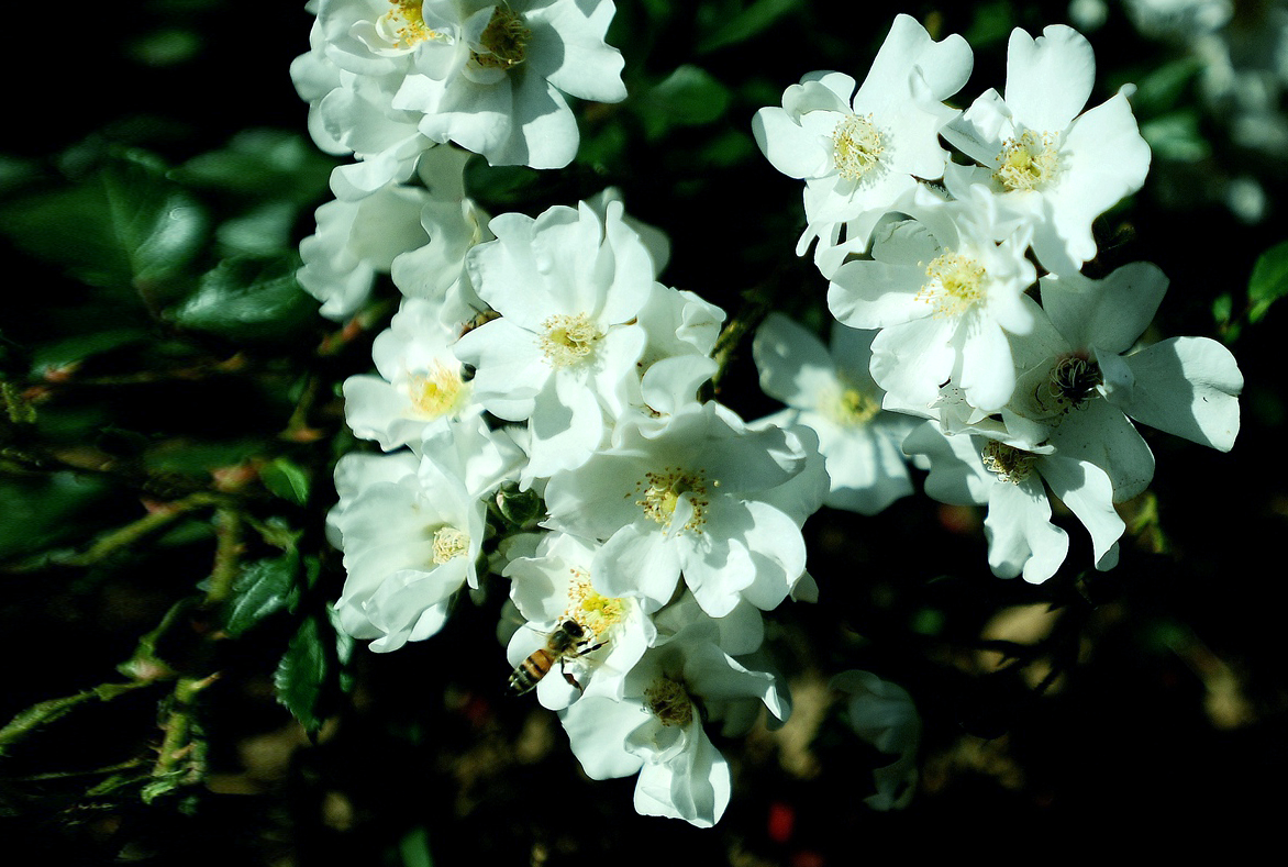 140444xnotnblslff0nf0f.jpg