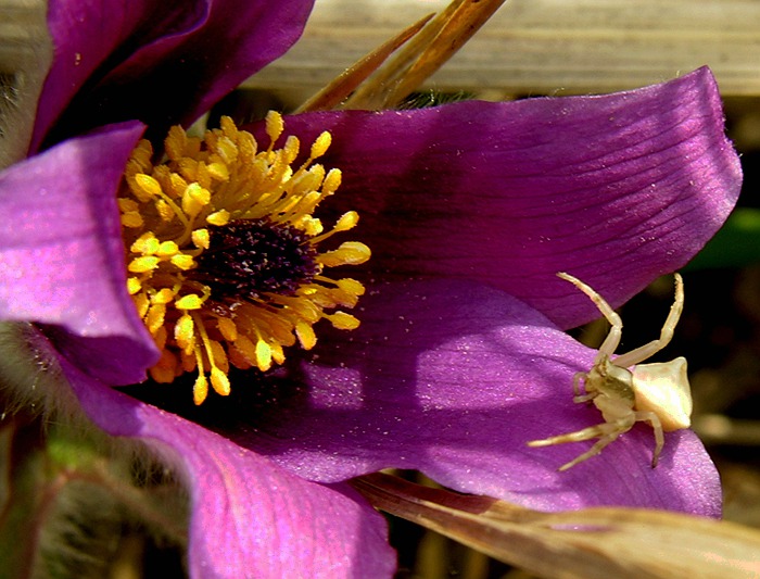 DSCN4982.JPG