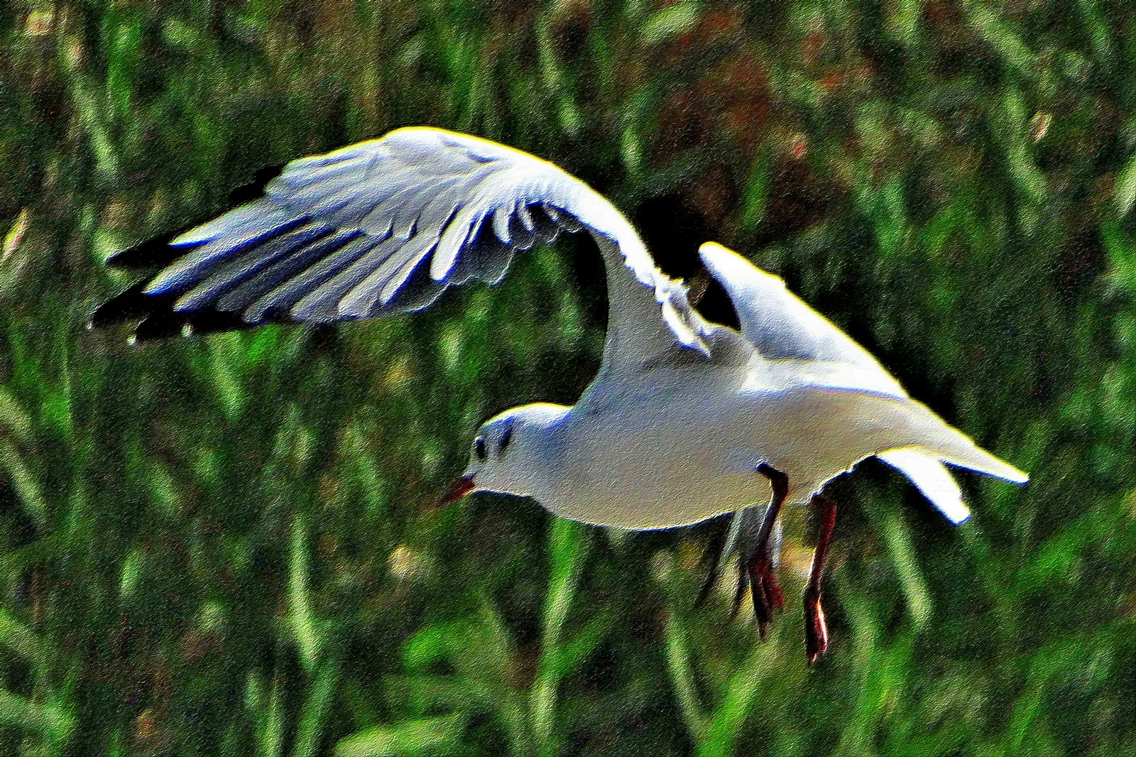 nEO_IMG_DSC04690.jpg
