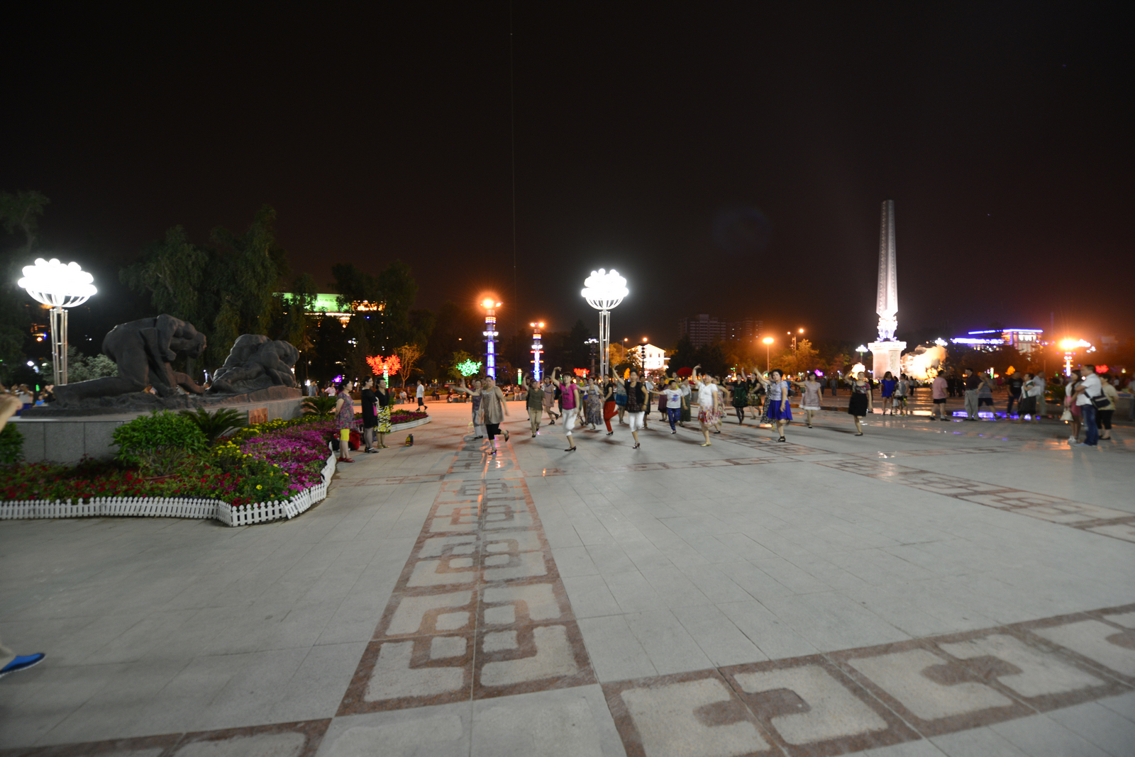 n_DSC1552.jpg