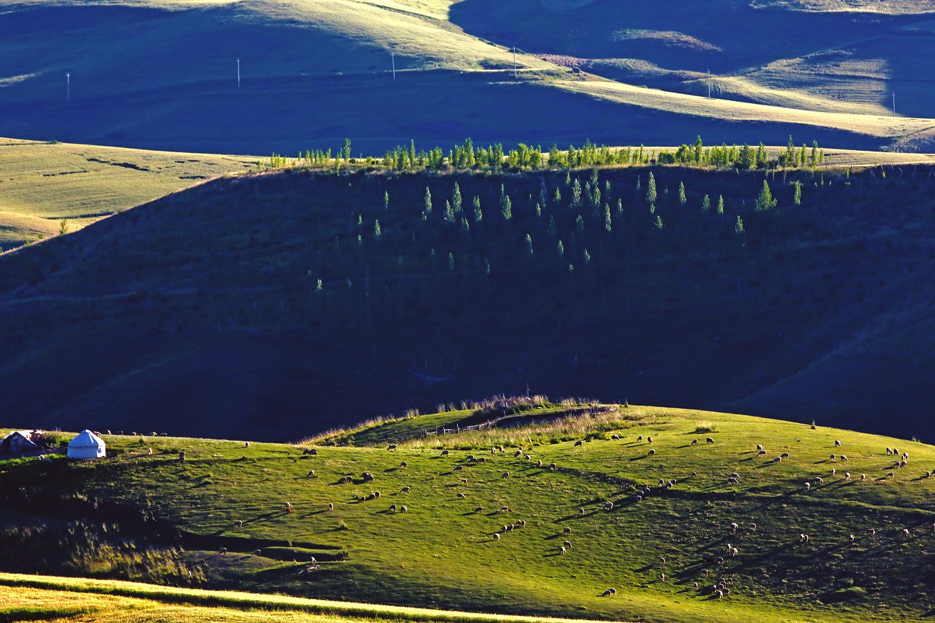 479A3661QA.jpg