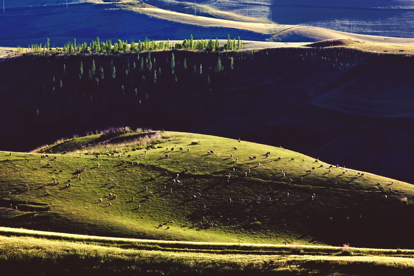 479A3659QA.jpg