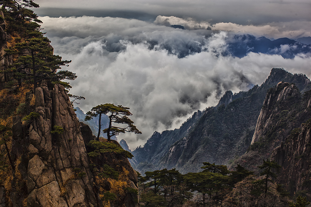 _MG_0794.jpg