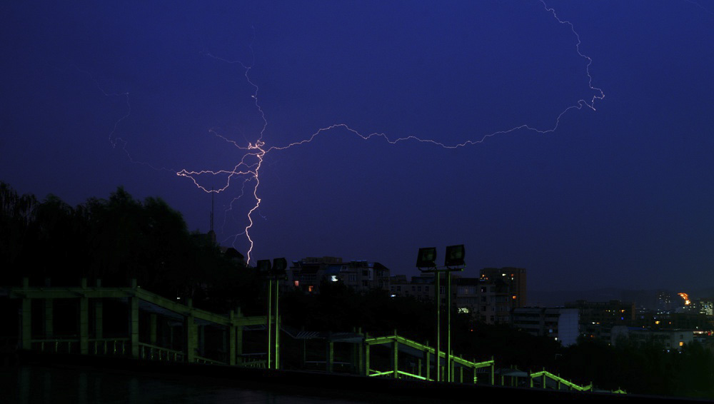 DSC_0204_.jpg