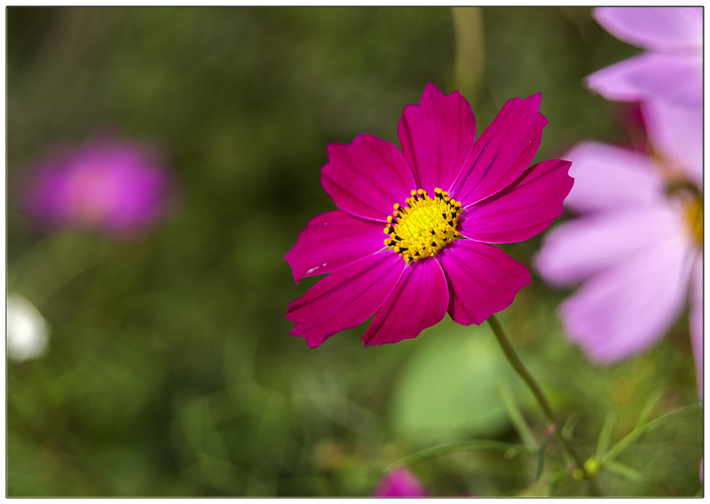 DSC_2143.jpg