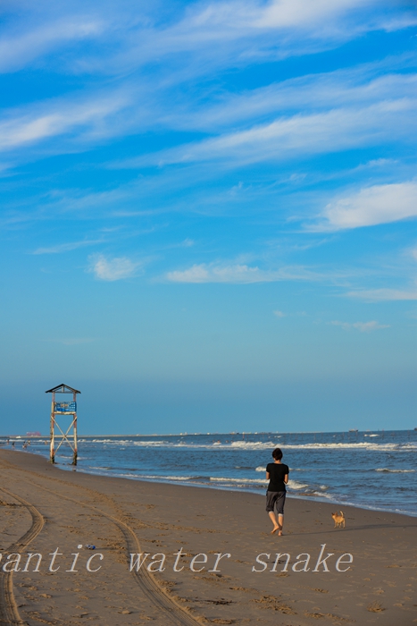 DSC_2610.jpg