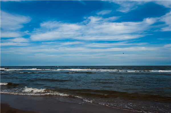 DSC_5940_.jpg