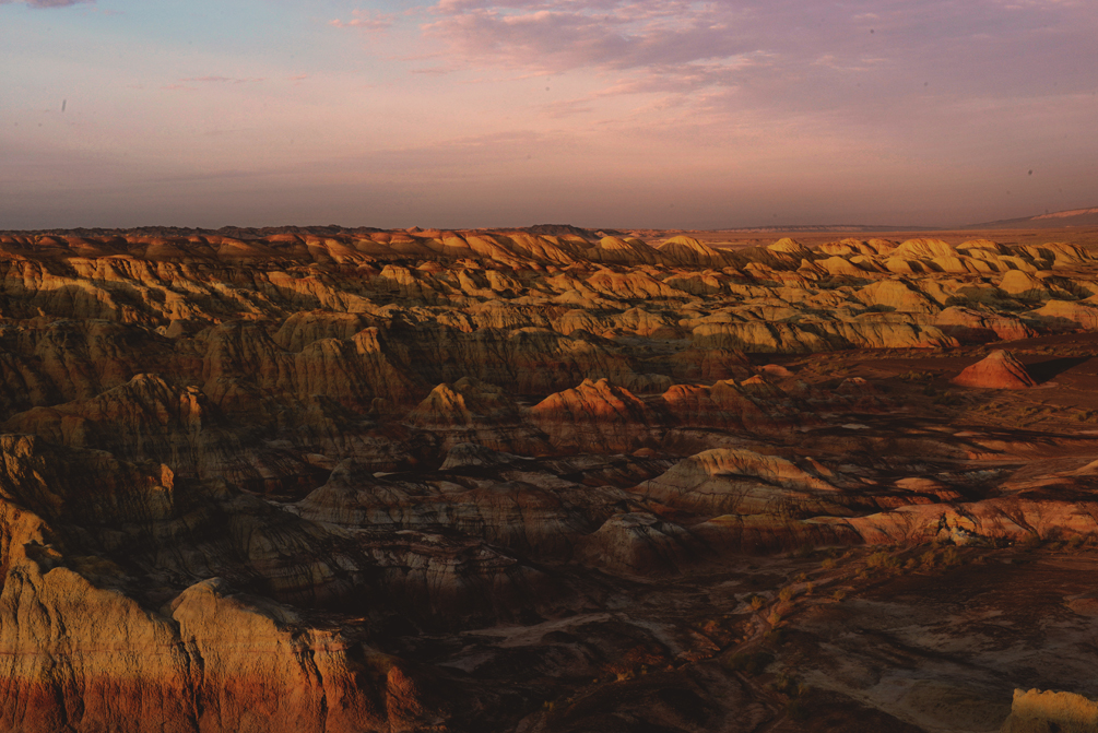 DSC_7796--1.jpg