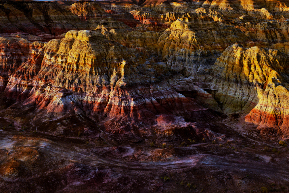 DSC_7794-1.jpg