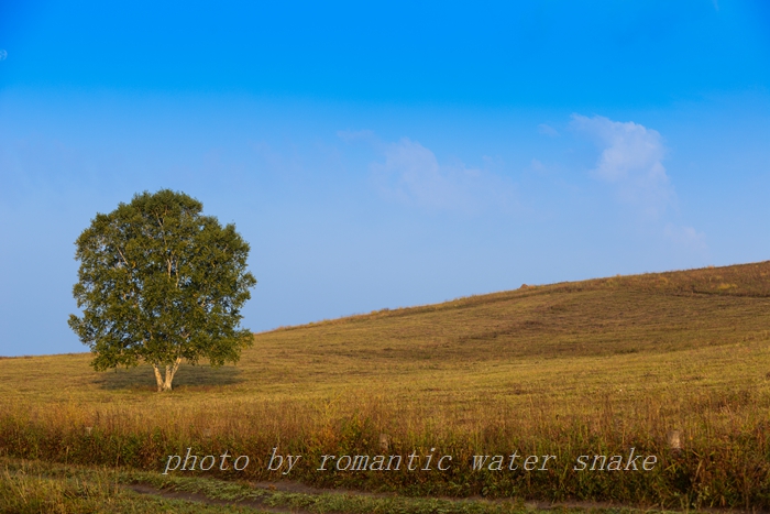 DSC_2747.jpg