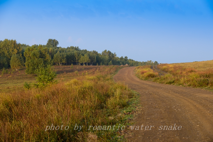 DSC_2748.jpg