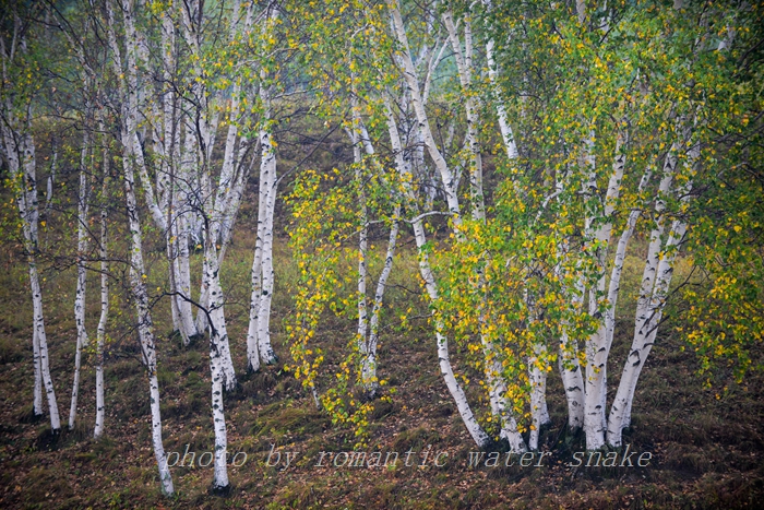 DSC_2775.jpg