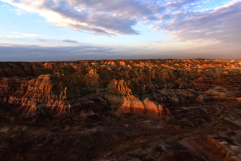 DSC_7787-1.jpg