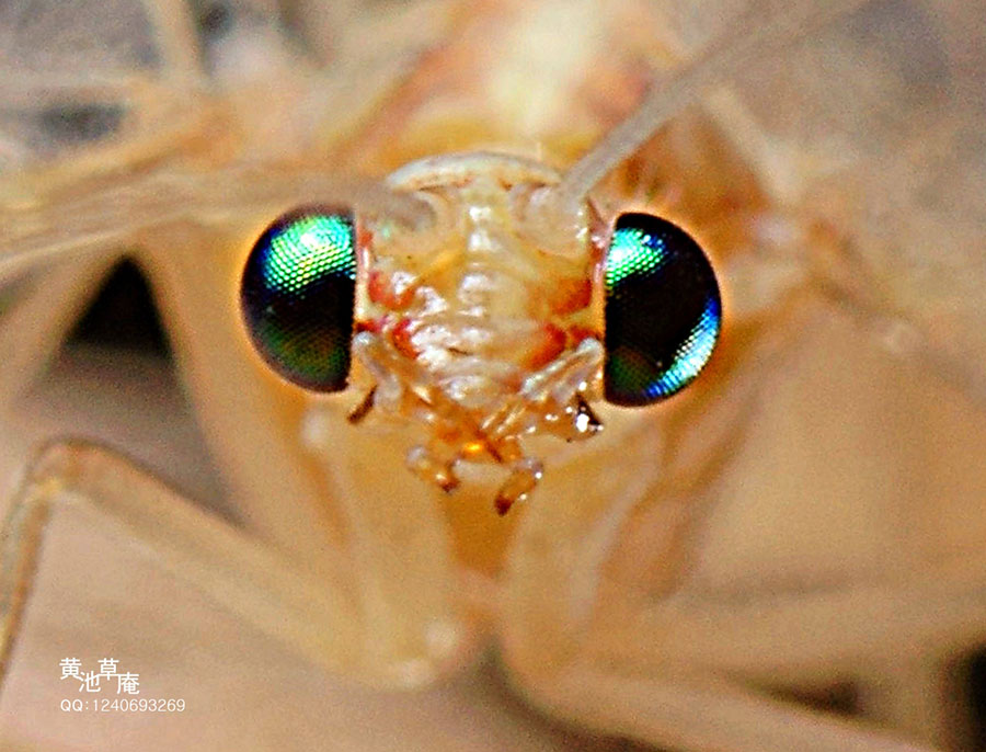 DSC02165_.jpg