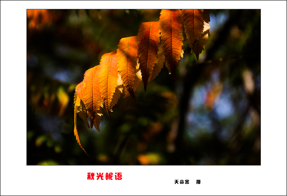 qg03.jpg
