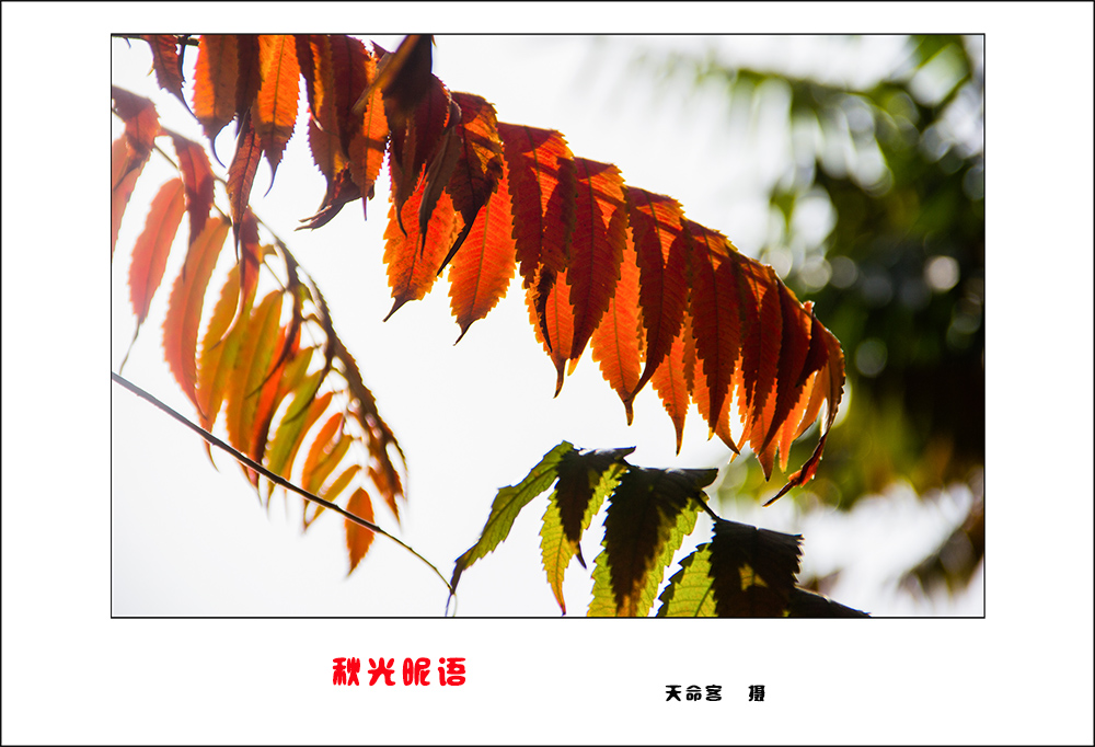 qg04.jpg
