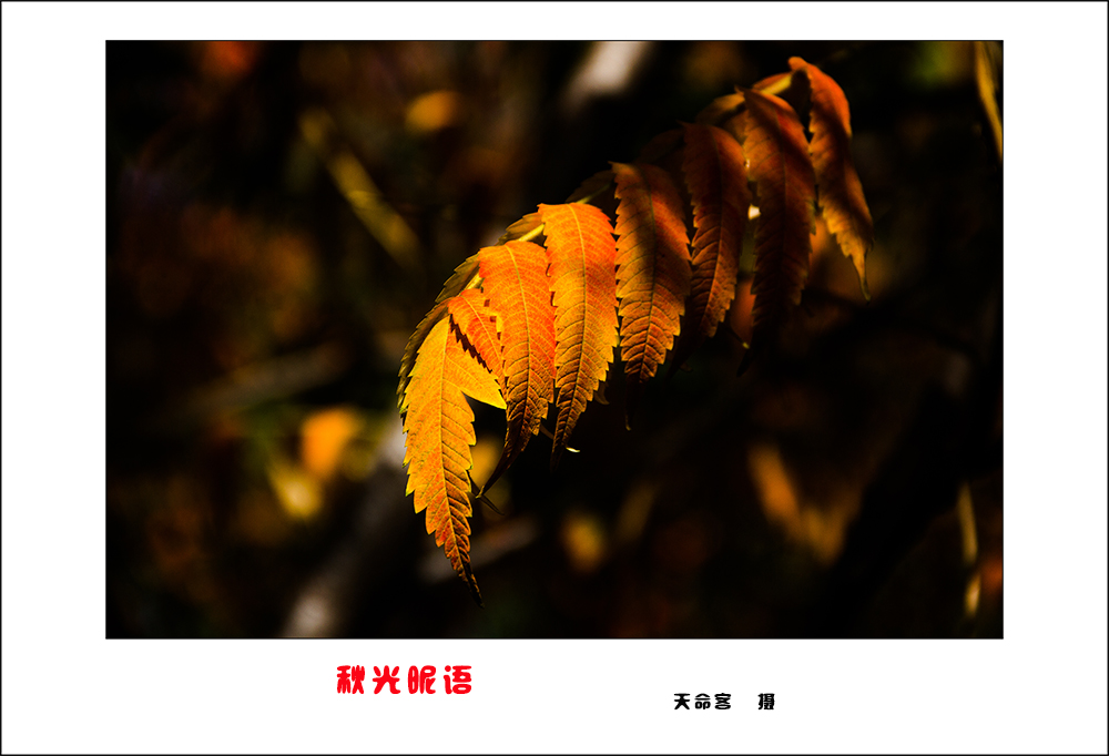 qg05.jpg6.jpg