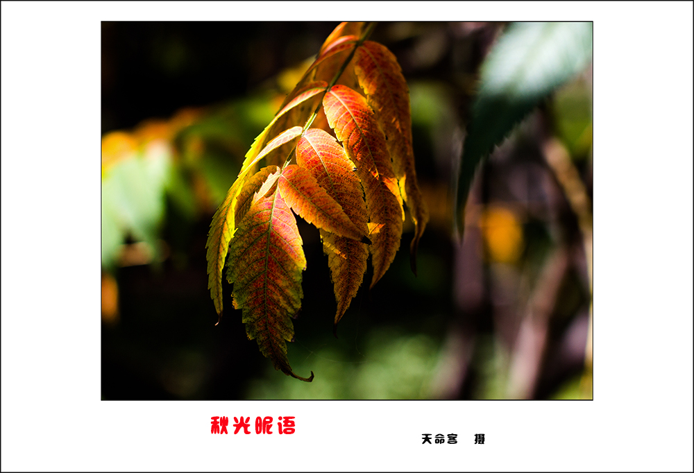 qg07.jpg