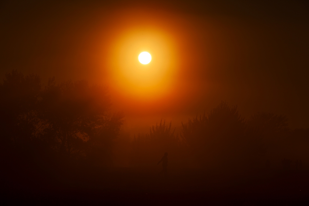 _MG_24091.jpg