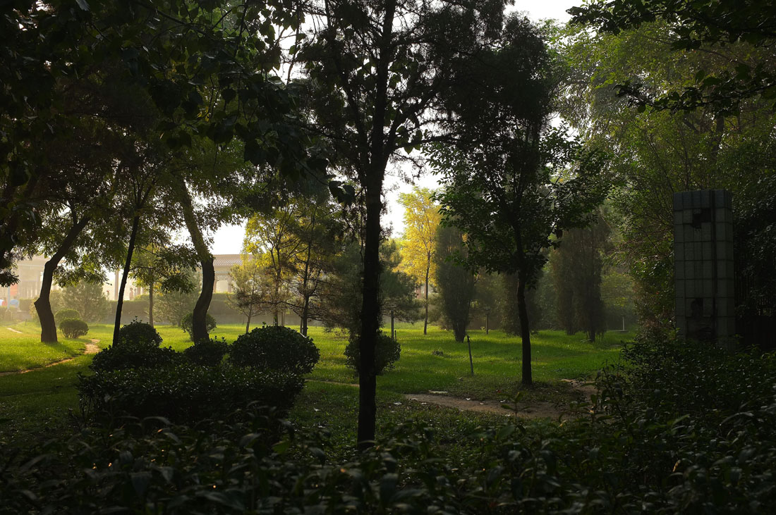 DSCF4736.JPG