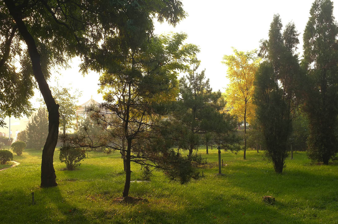 DSCF4738.JPG