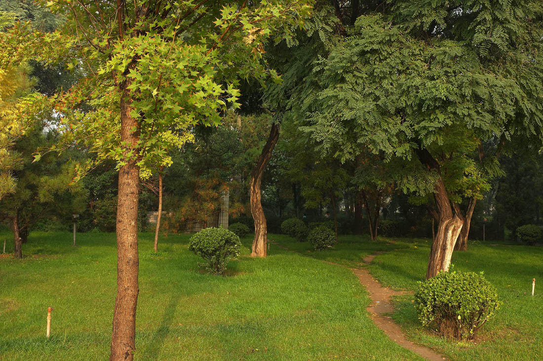 DSCF4749.JPG