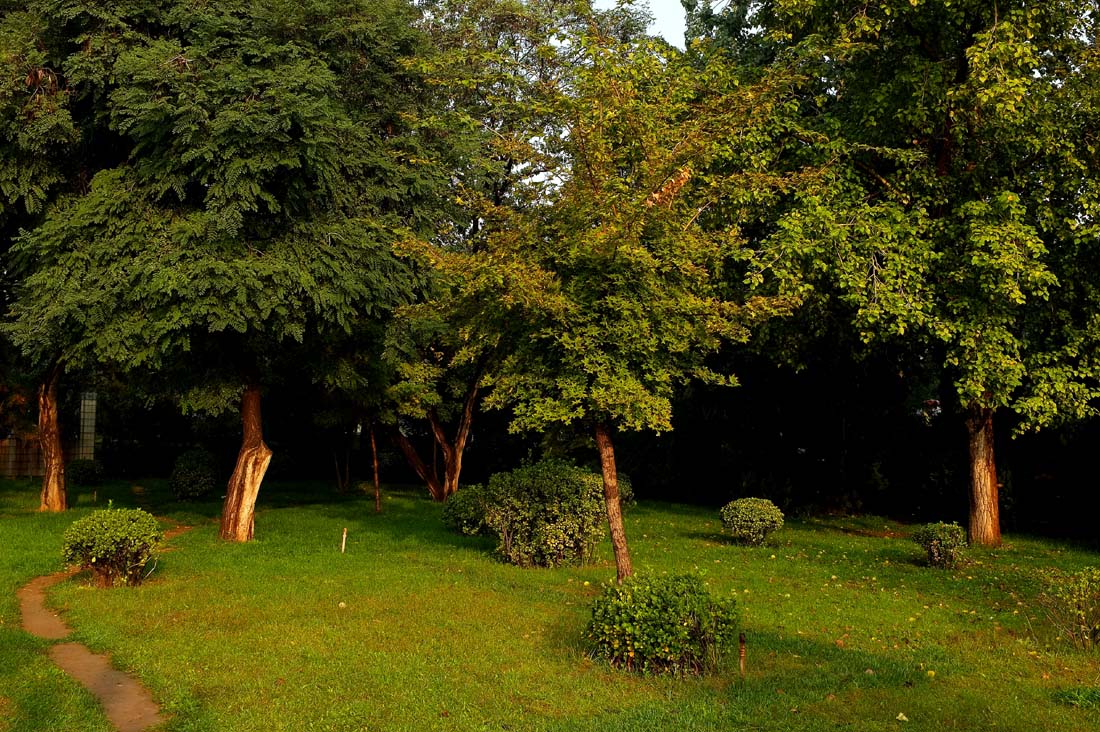 DSCF4752.JPG