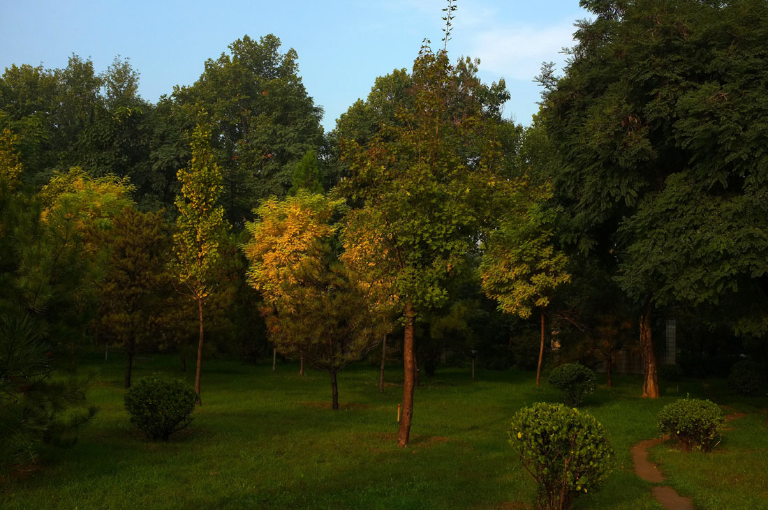 DSCF4753.JPG