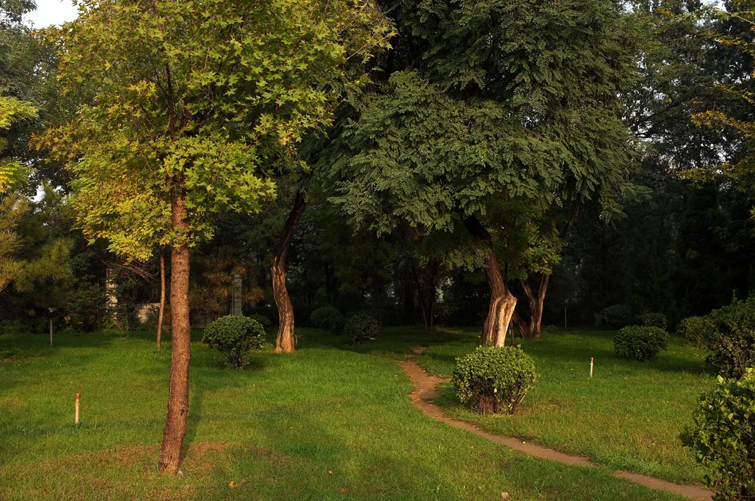 DSCF4756.JPG