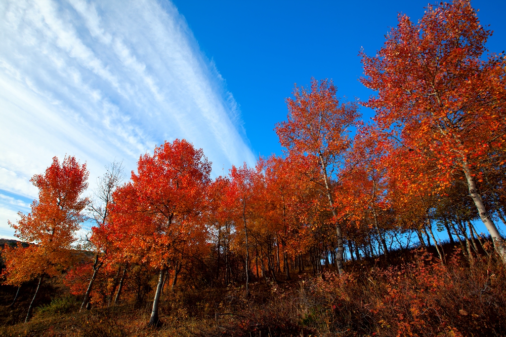 _MG_30691.jpg
