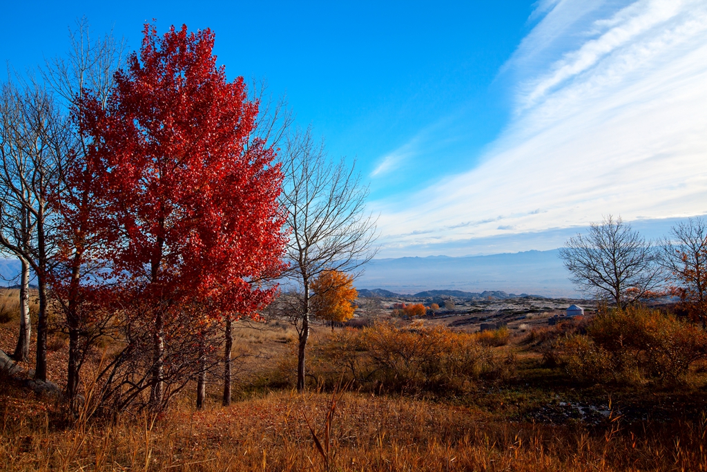 _MG_30921.jpg