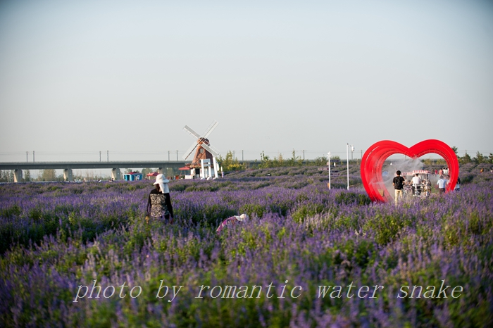 DSC_6362.jpg
