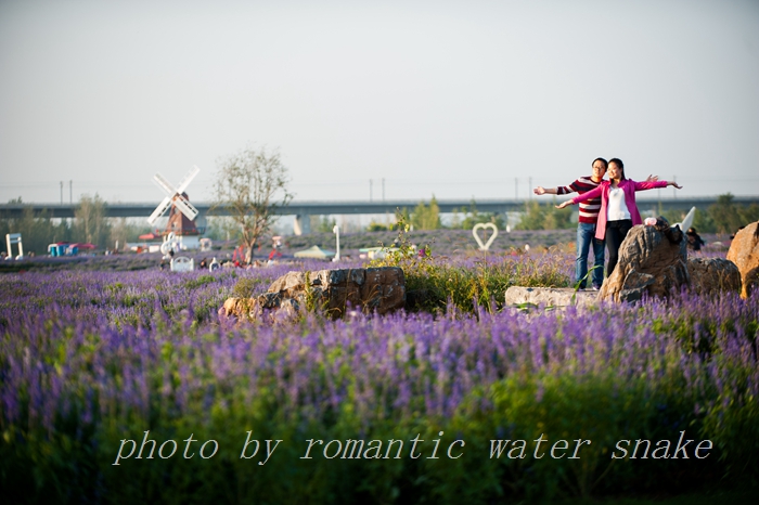 DSC_6365.jpg