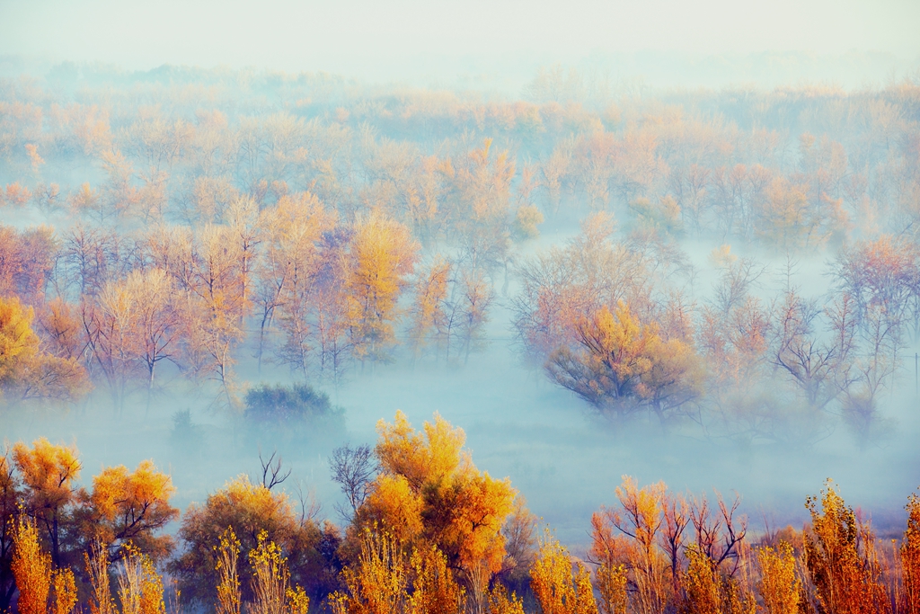 _MG_43241.jpg