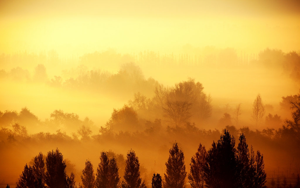 _MG_43361.jpg