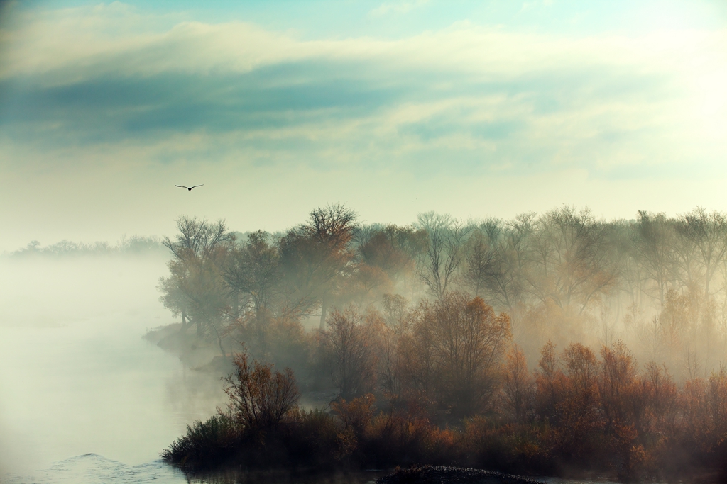 _MG_44321.jpg