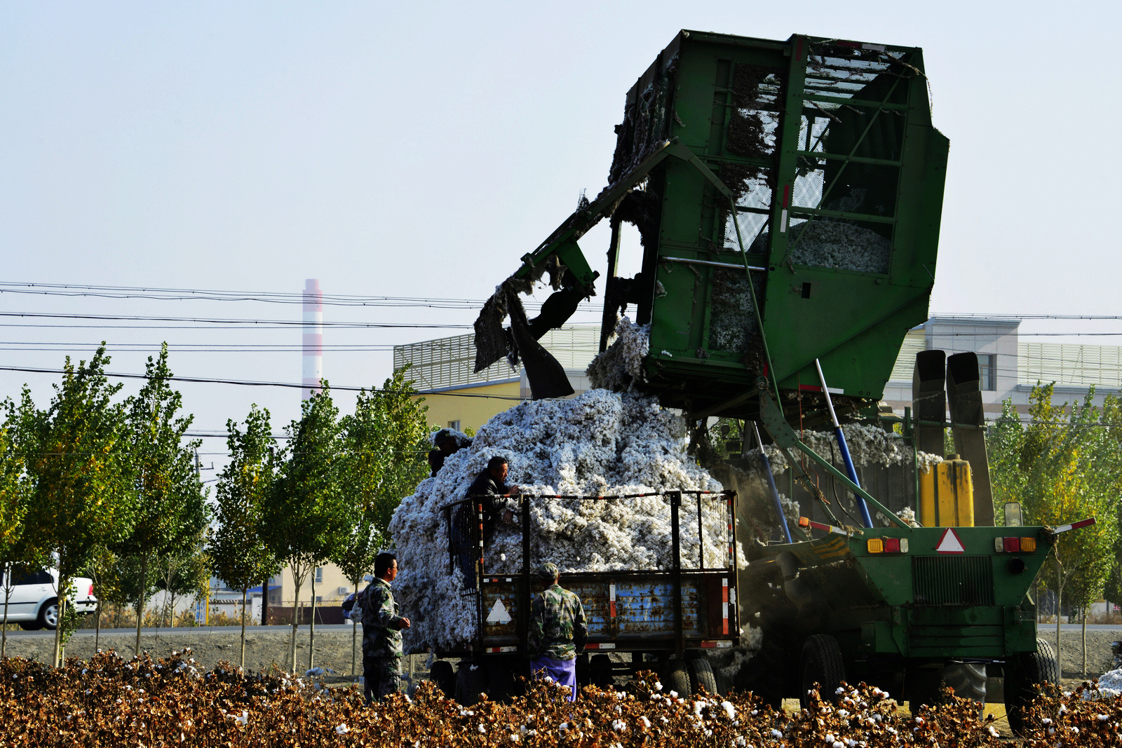 nEO_IMG__DSC7312.jpg