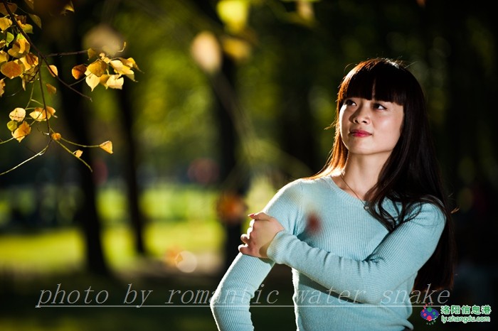 6_71842_2313e846a79fa33.jpg