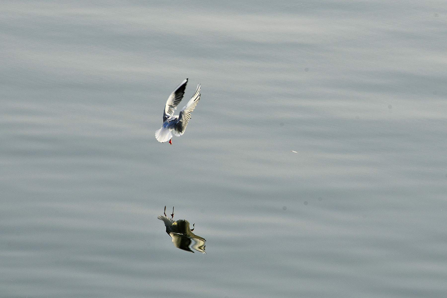_DSC7567.jpg