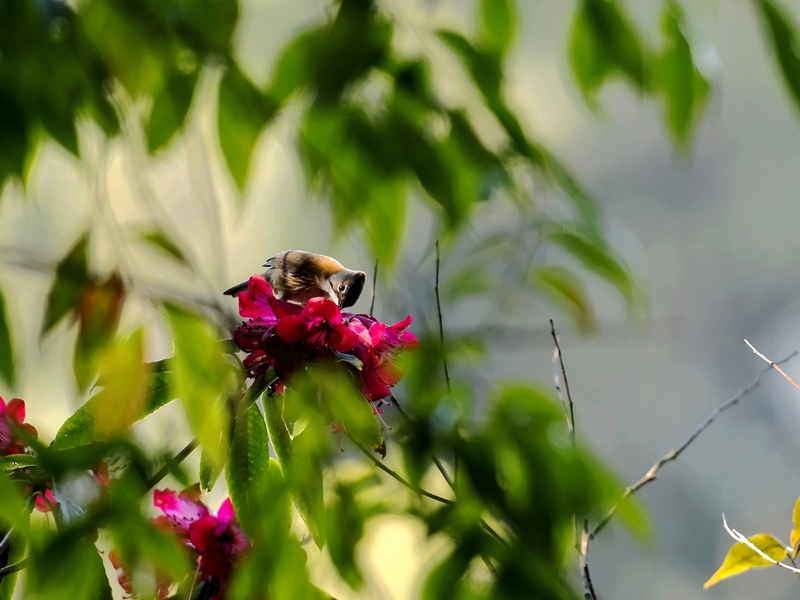 DSC_2166.jpg