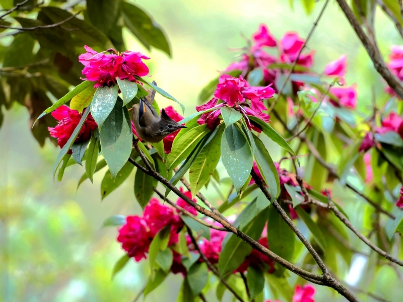 DSC_2177.jpg