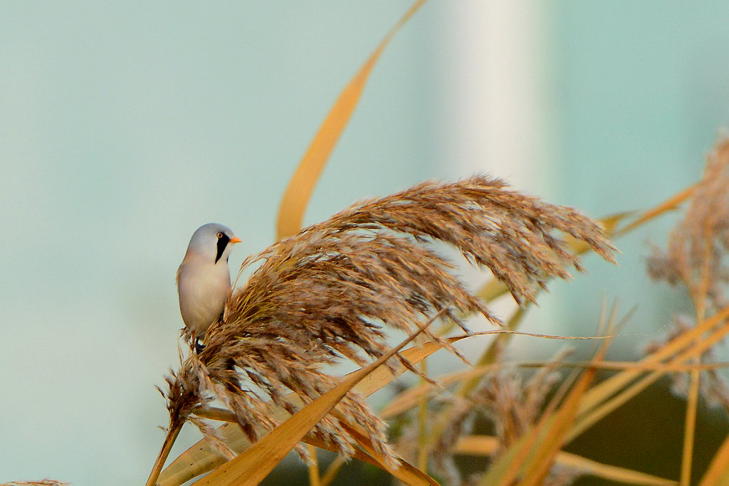 DSC_0714.jpg