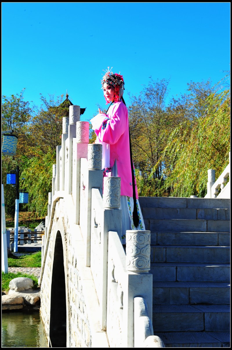 DSC_2177.JPG