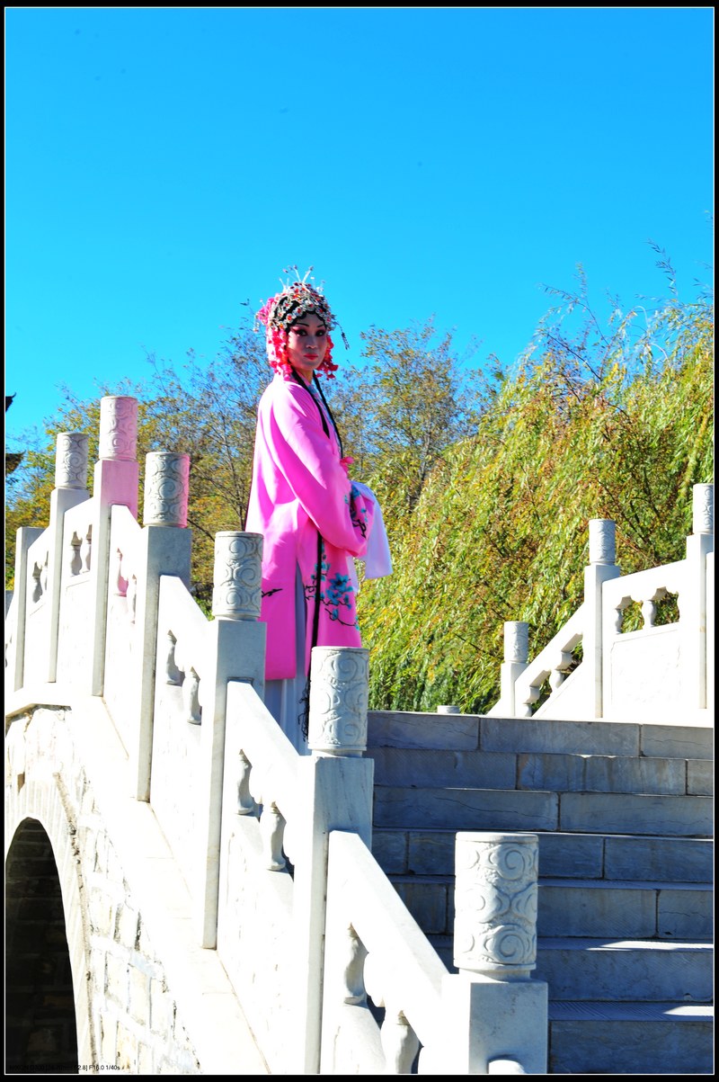 DSC_2178.JPG