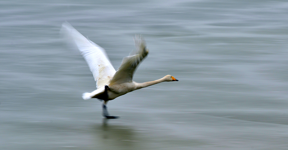 DSC_5395.JPG