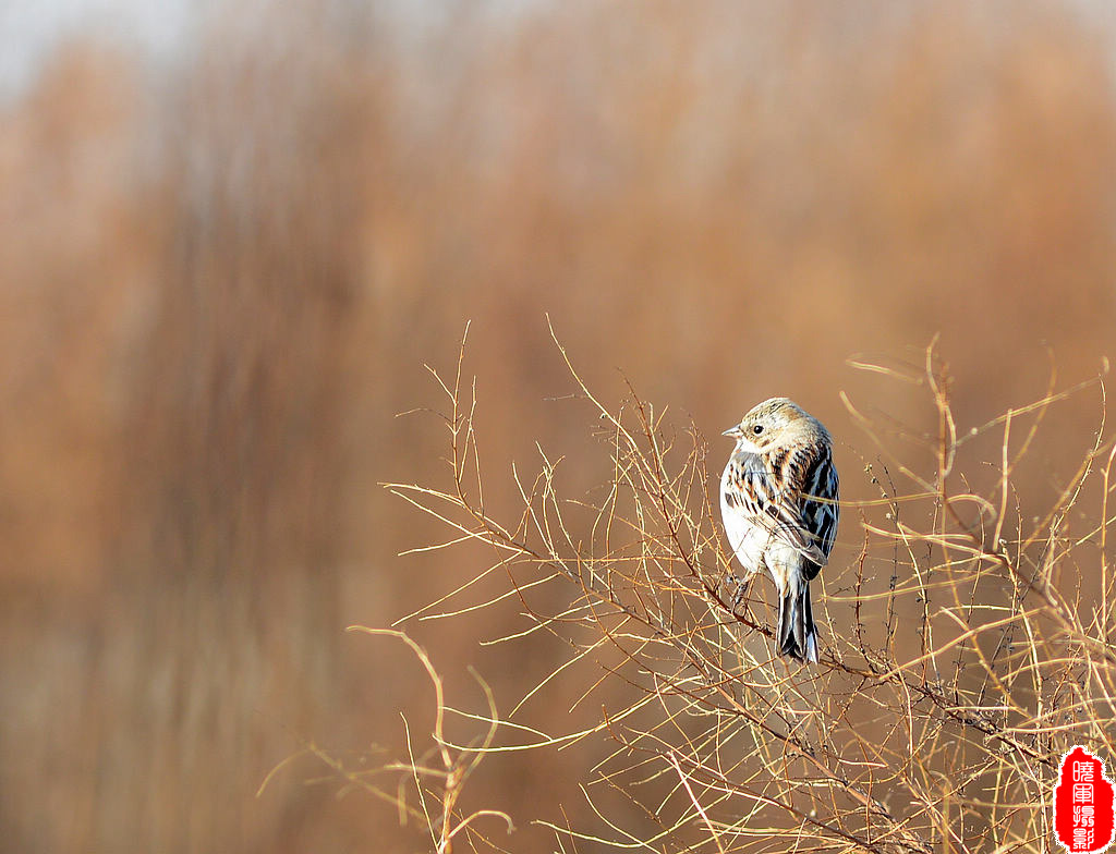 DSC_5759  1111.jpg